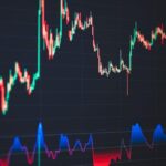 nukk stock​