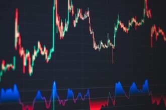 nukk stock​