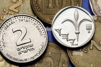 lily coin
