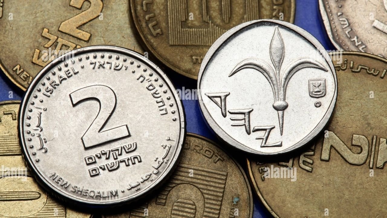 lily coin